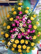 coroana